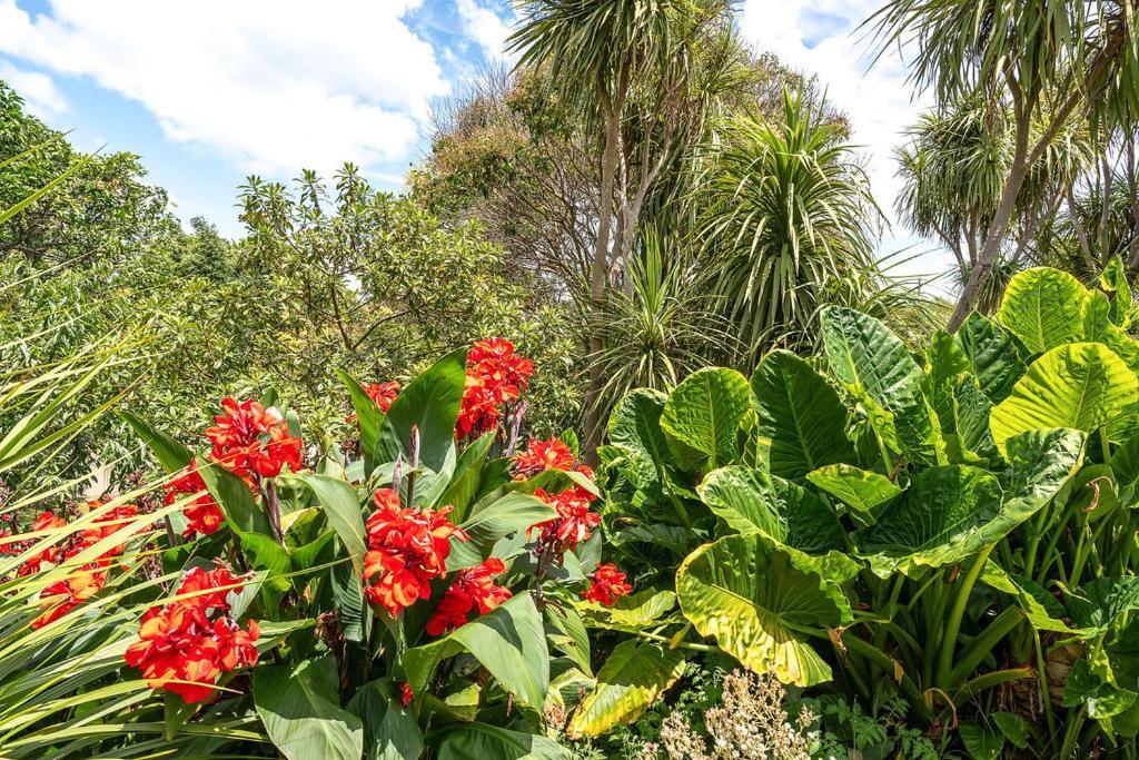 Oneroa Bay Villa Waiheke Buitenkant foto