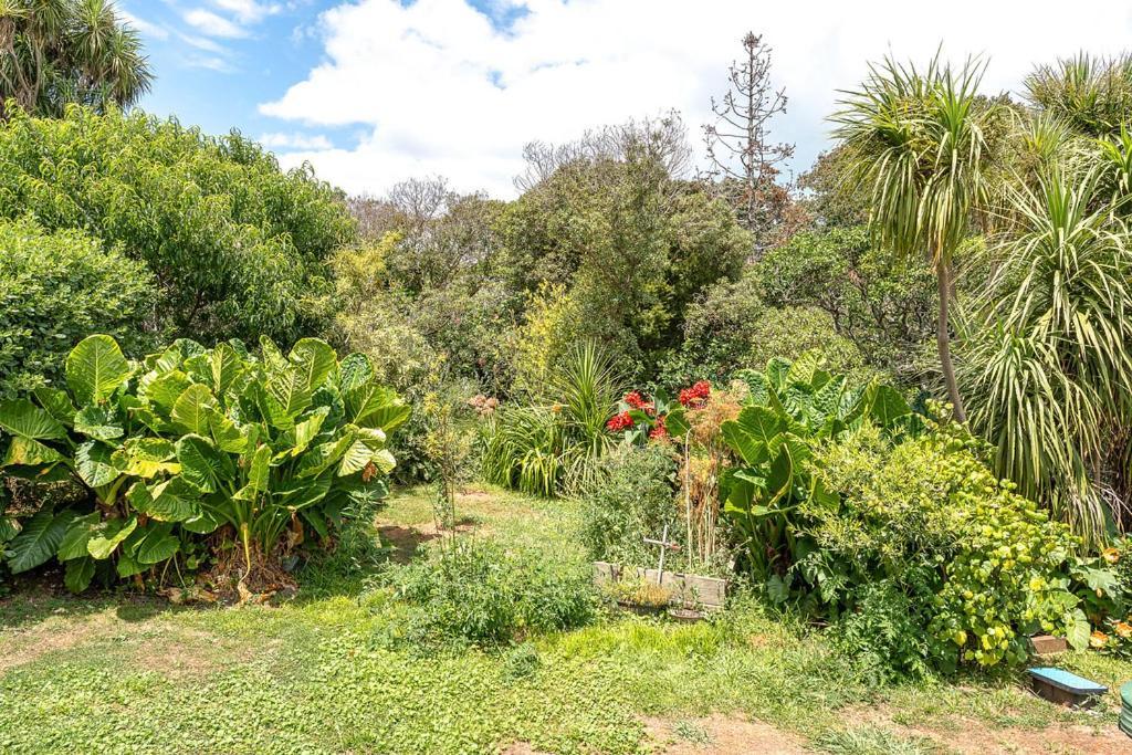 Oneroa Bay Villa Waiheke Buitenkant foto