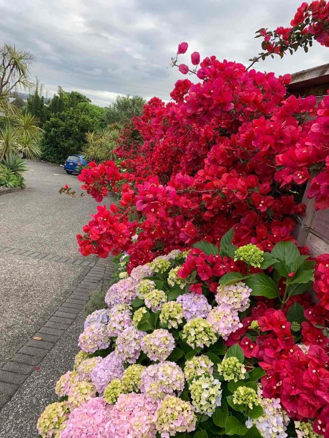 Oneroa Bay Villa Waiheke Buitenkant foto